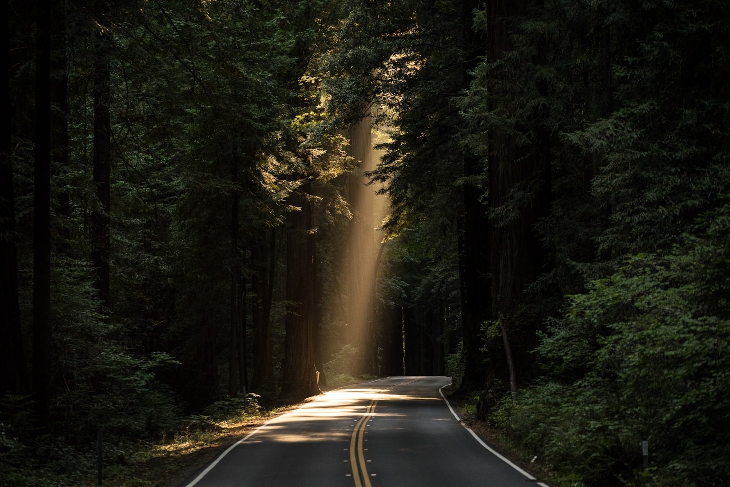 Why Men Need Spiritual Life Coaching